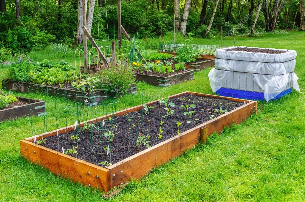 Carrés potagers avec légumes de saison